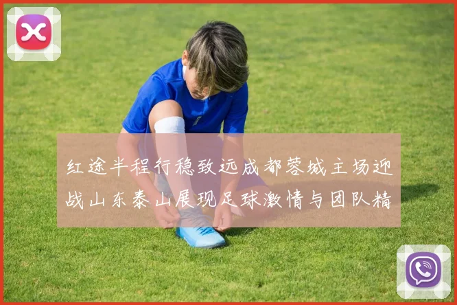 红途半程行稳致远成都蓉城主场迎战山东泰山展现足球激情与团队精神