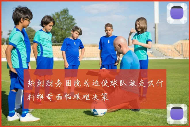 热刺财务困境或迫使球队放走武什科维奇面临艰难决策